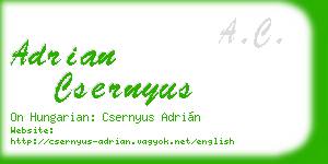 adrian csernyus business card