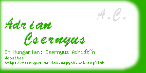 adrian csernyus business card